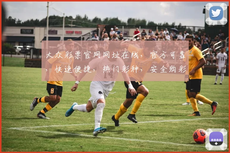 大众彩票官网网址在线，官方可靠，快速便捷，热门彩种，安全购彩，三重保障，必看攻略