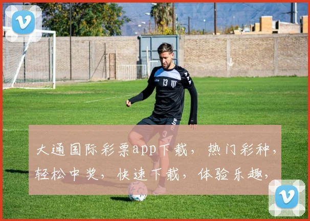 大通国际彩票app下载，热门彩种，轻松中奖，快速下载，体验乐趣，尽在指尖