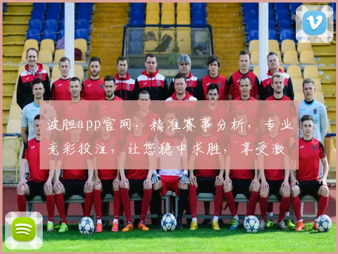 波胆app官网，精准赛事分析，专业竞彩投注，让您稳中求胜，享受激情赛事