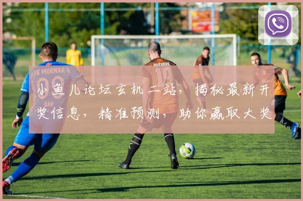 小鱼儿论坛玄机二站，揭秘最新开奖信息，精准预测，助你赢取大奖