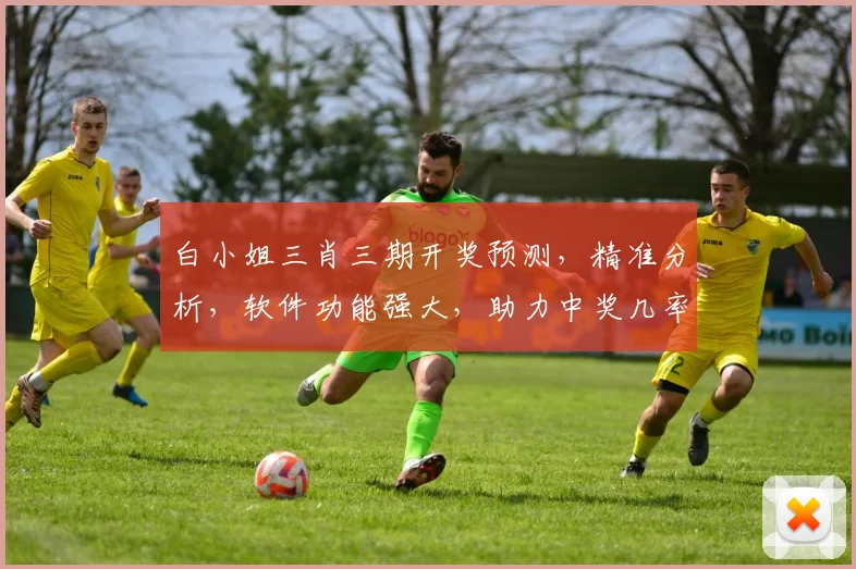 白小姐三肖三期开奖预测，精准分析，软件功能强大，助力中奖几率提升
